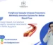 Peripheral Vascular Disease Treatment: Minimally Invasive Options for Better Blood Flow